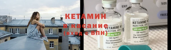 крисы Алексин