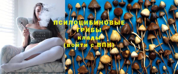 соль ск Алзамай